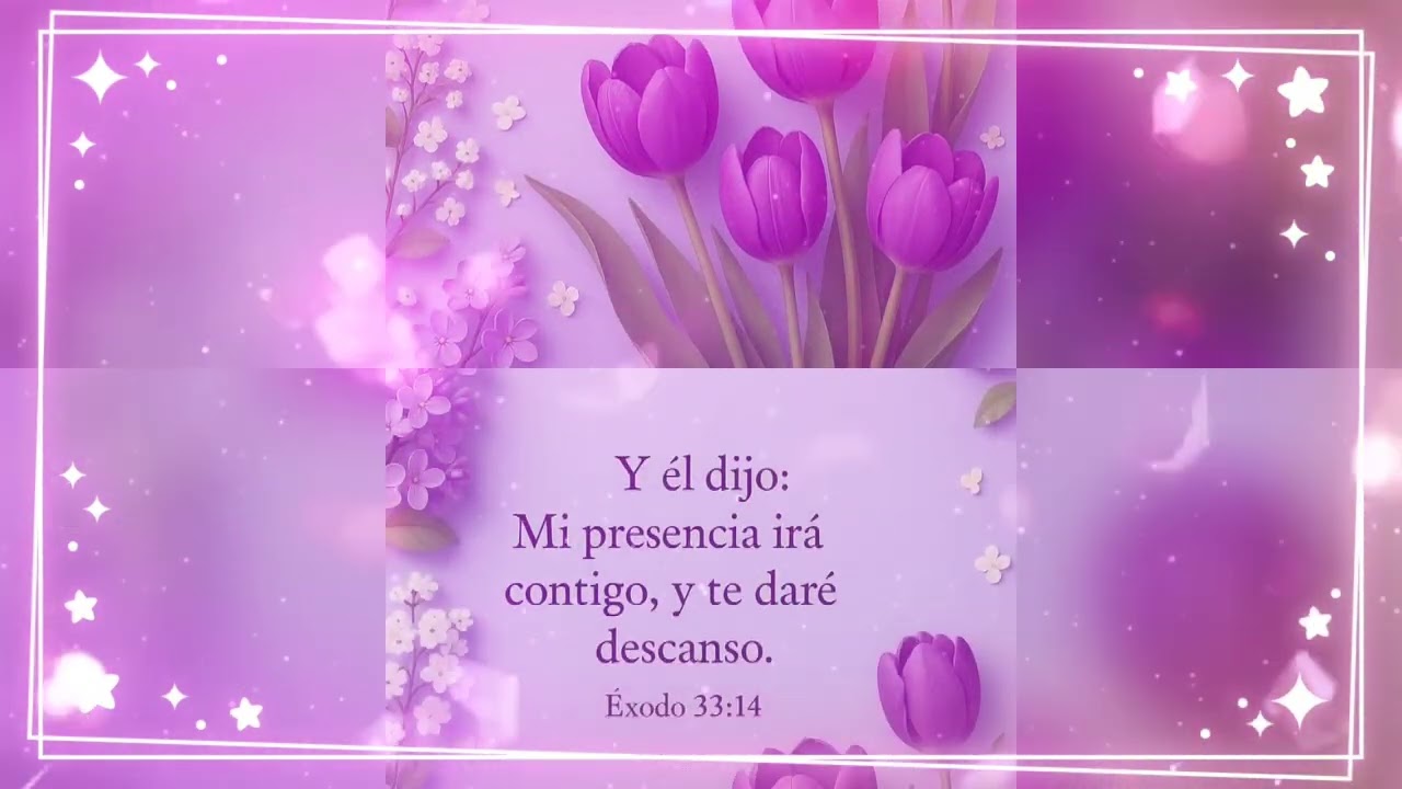 A quien ire