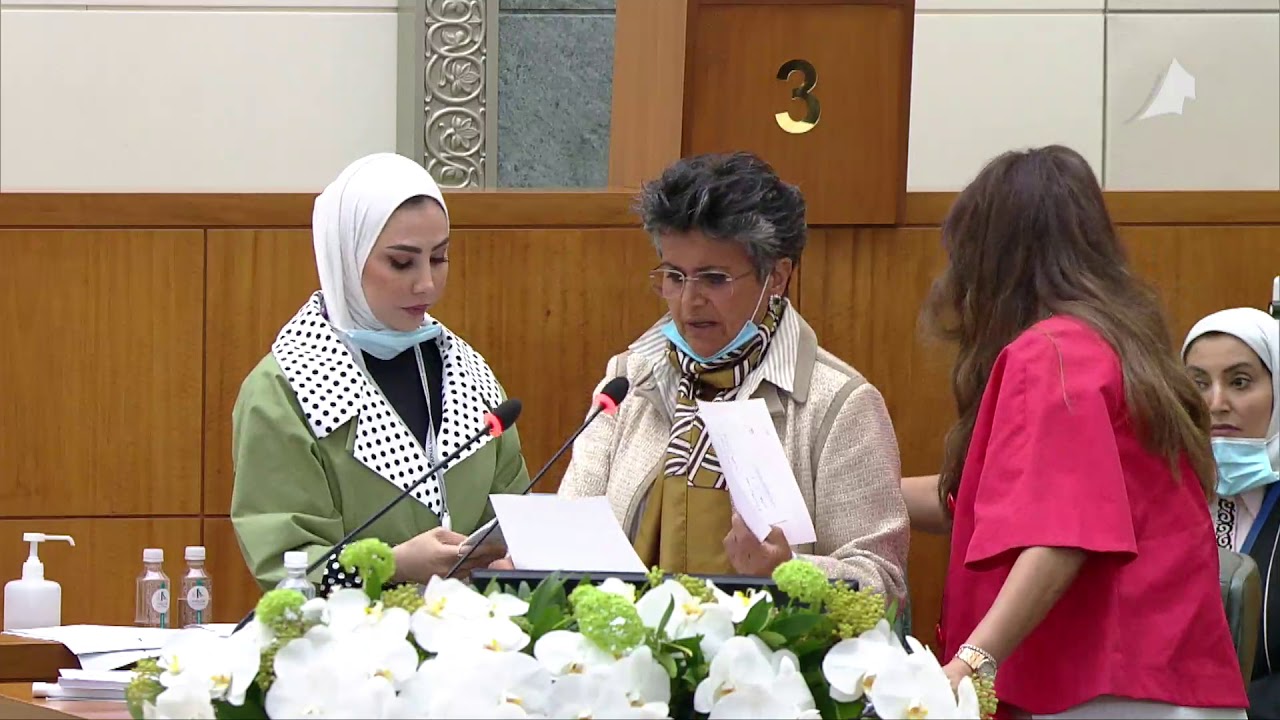 مداخلات النائب - صفاء الهاشم - 20-10-2020