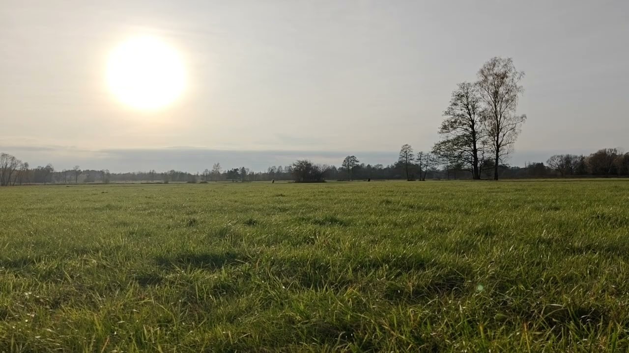 November Sun Through Mist Over Endless Mazovian Pasture – Quiet Autumn Afternoon