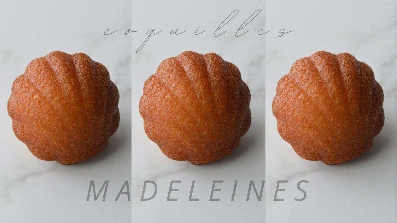 MADELEINES A CONCHIGLIA (Burro Tostato e Limone) | Denise Castagno |