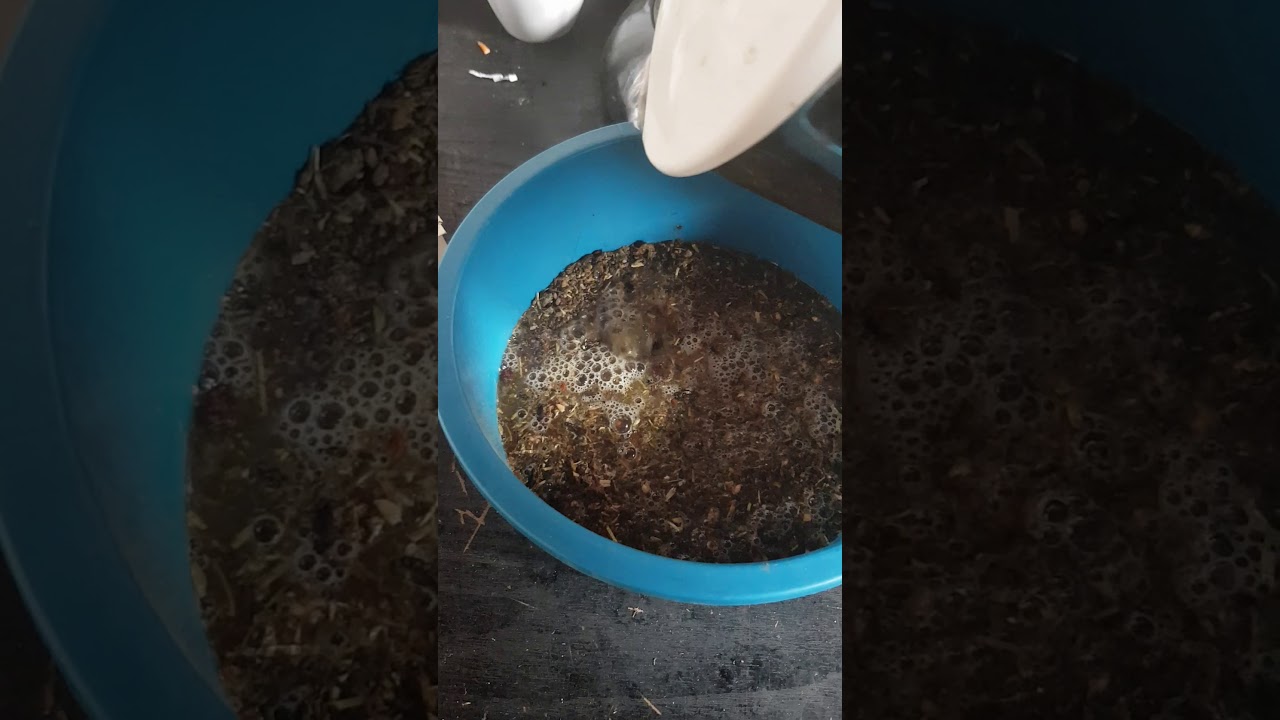St. Hippolyt Glyx Mash