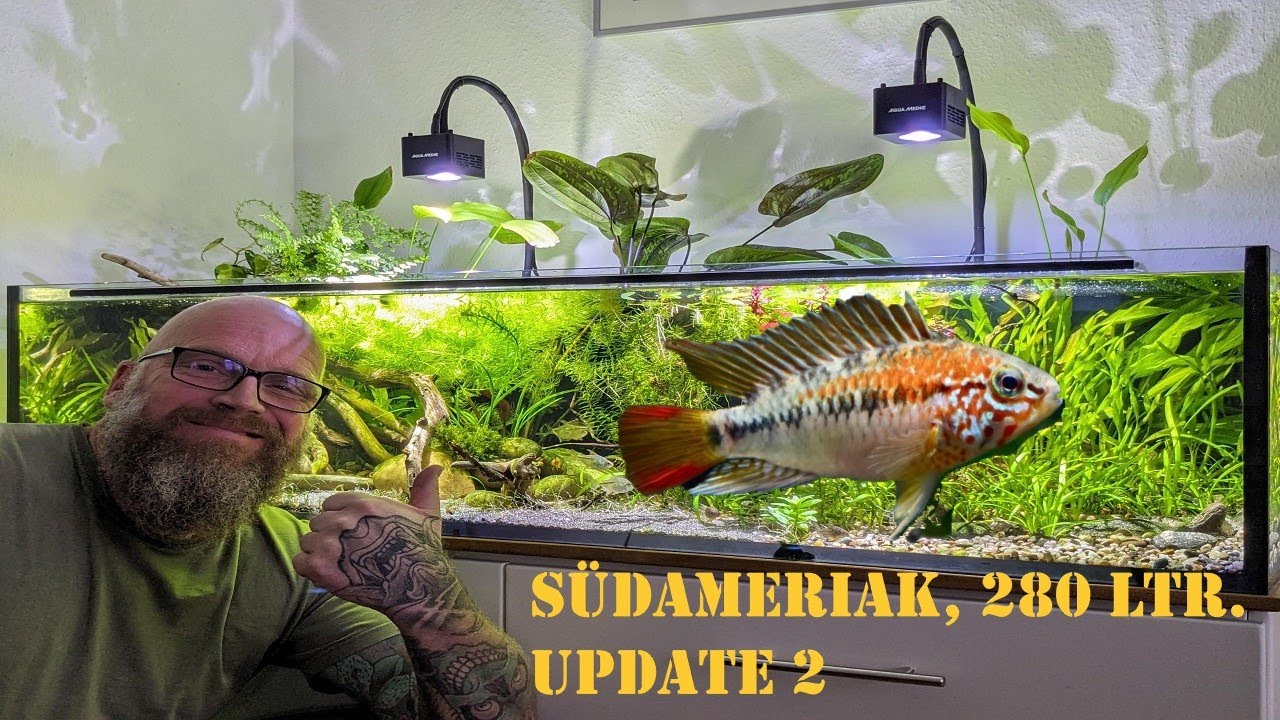 Südamerika Biotop light, Update 2