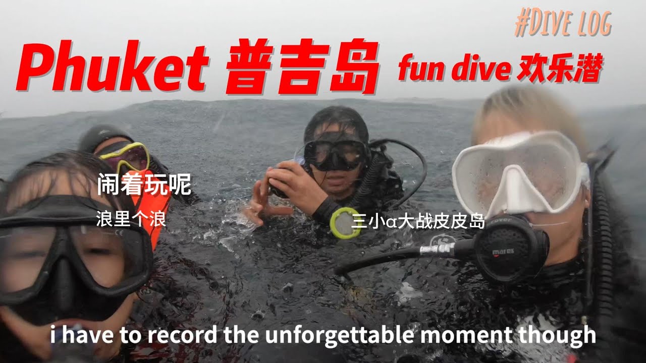 fun dive in Phuket: shark point, phiphi island, an unforgettable experience #潜水 #泰国潜水 #普吉岛