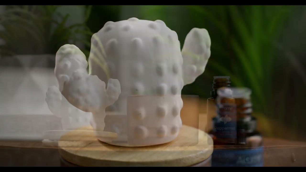 Cactus Porcelain Diffuser | Airom&eacute; | Home Fragrance