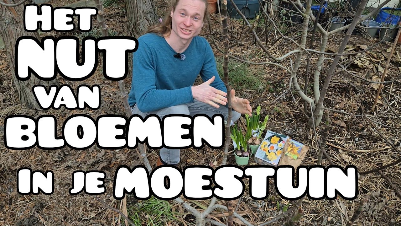 Waarom Bloemen GEWELDIG zijn! (in de Moestuin)