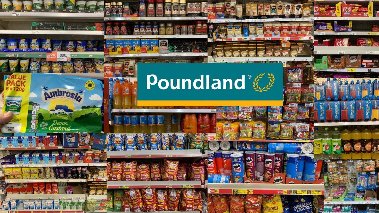 NEW FINDS IN  POUNDLAND | COME SHOP WITH ME | POUNDLAND HAUL
