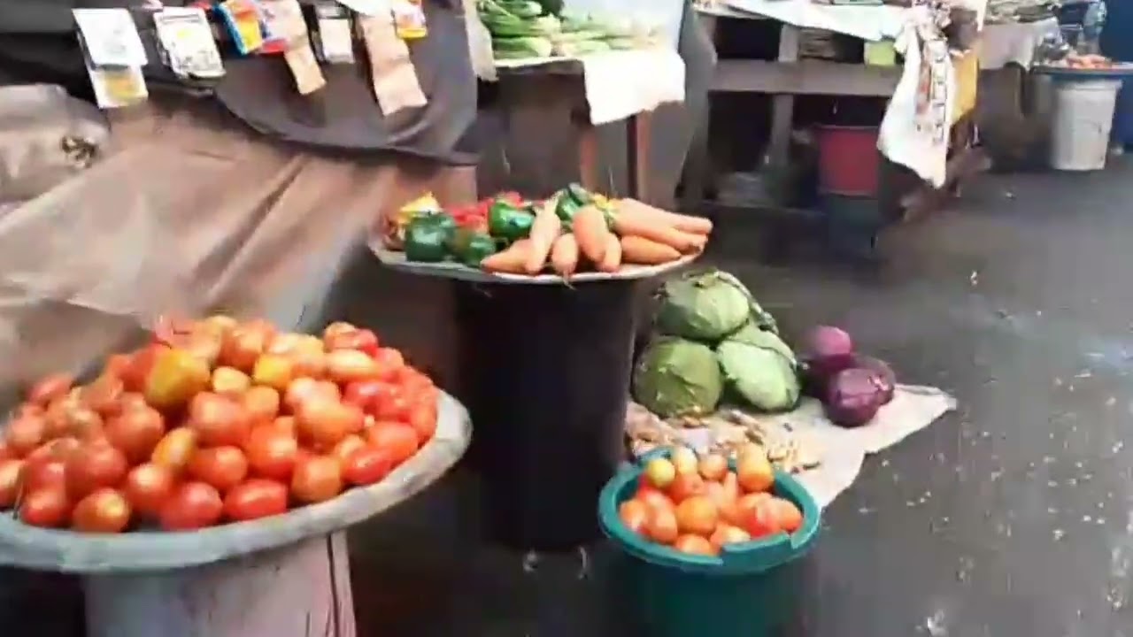 Le continent 237  toujours comme le dernier jour 