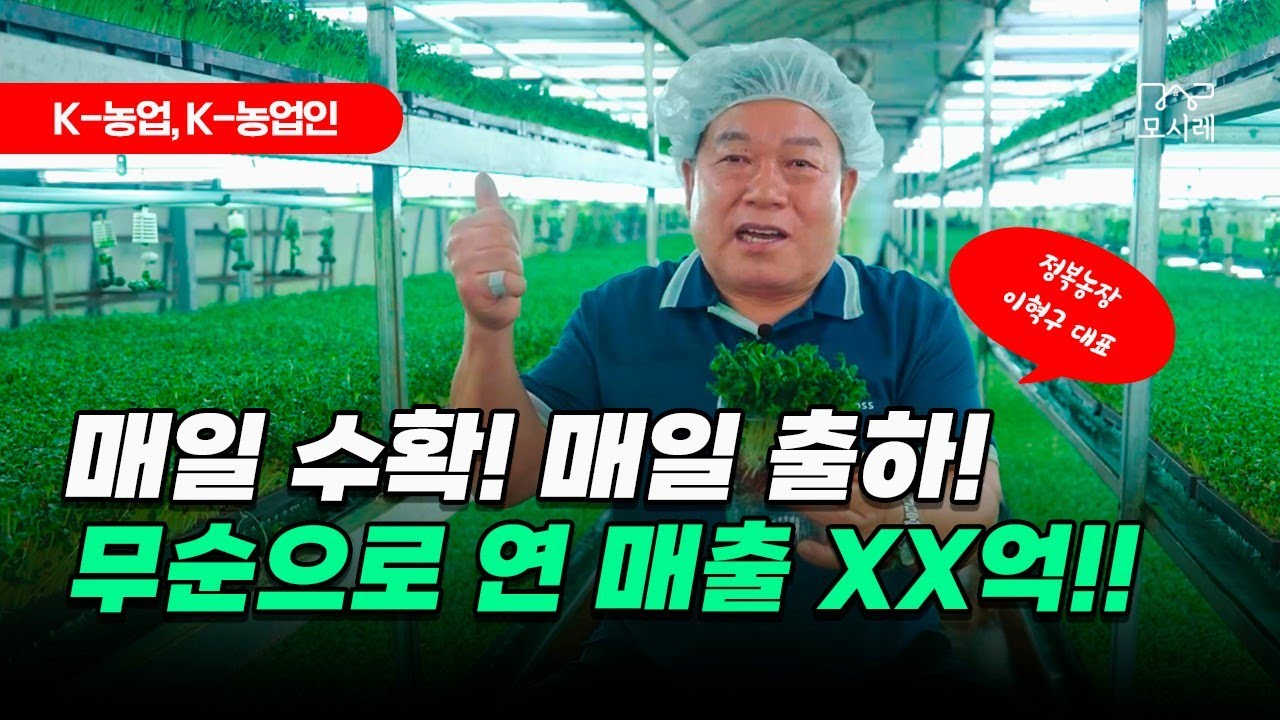 33년 무순 재배 XX억대 매출, 기술 수출까지│경기도 광주 귀농귀촌│정복농장│무순농장│스마트팜│무순유통│귀농작물│광주농장│회 무순│무순요리│무순효능│새싹채소재배│어린잎재배