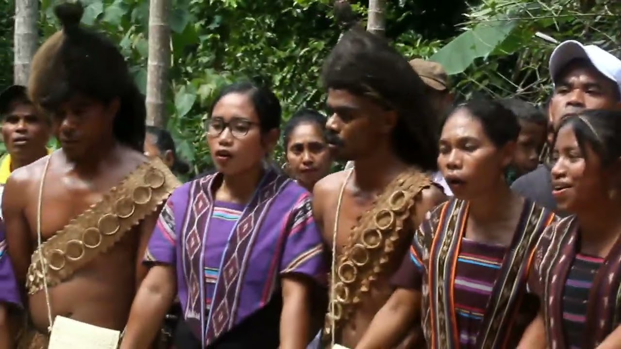 Penjemputan P. Jhon Puri Ujan, SVD| Stasi Udak dan Lewuka, Paroki Wulandoni| Senin, 29 Juli 2024