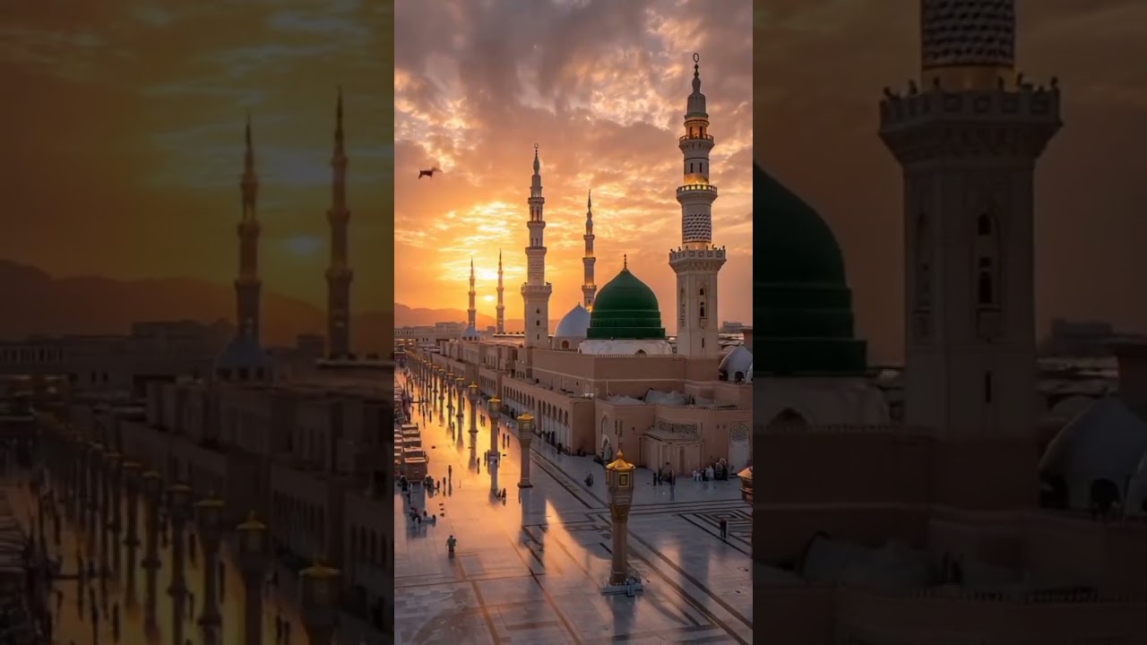 11 февраля 2026 г.