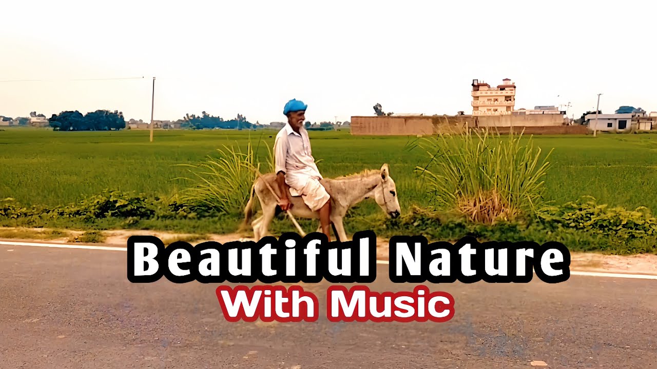 Beautiful Nature With Music 
