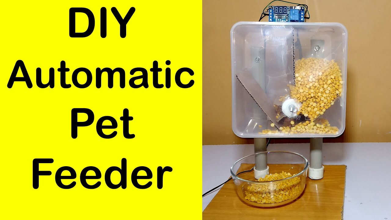 How to make automatic pet food dispenser - do it yourself food dispenser - XYJ02 timer projects