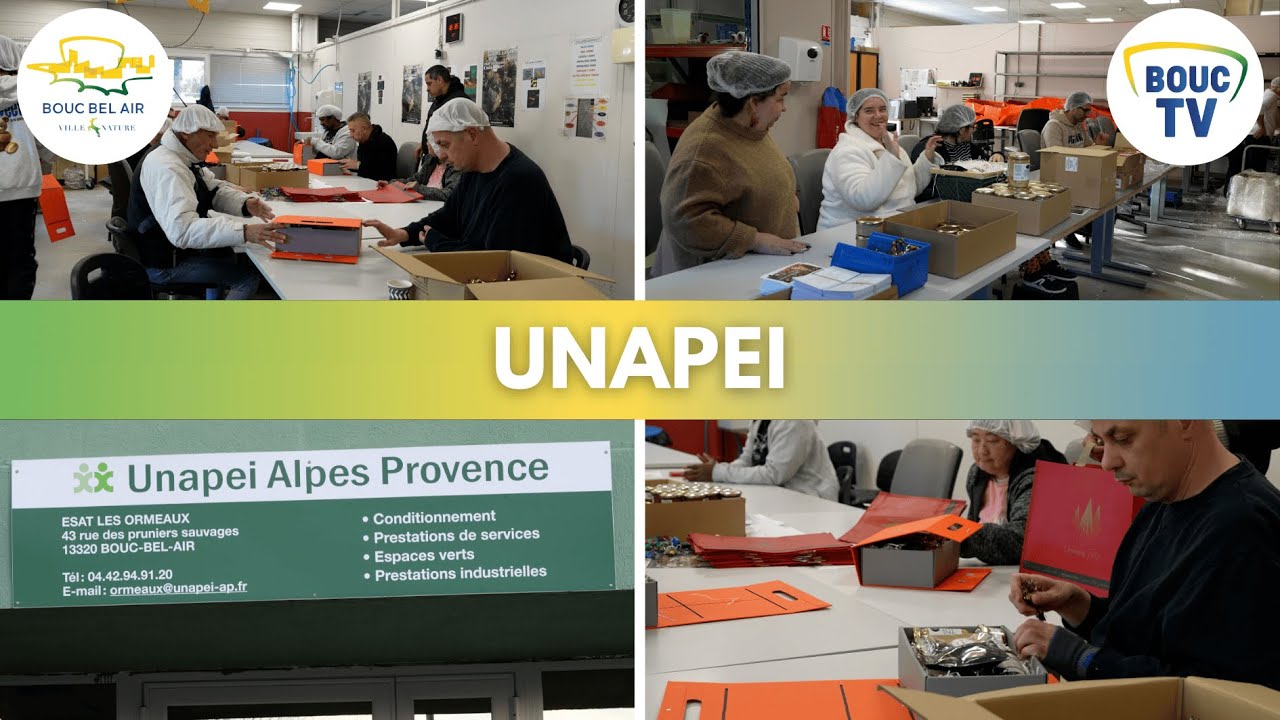 BOUC TV // UNAPEI