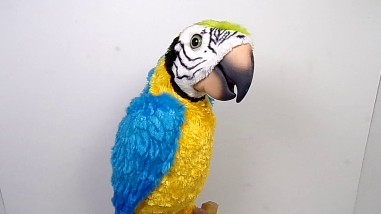 HASBRO Talking Parrot SQUAWKERS MCCAW No Controller FURREAL FRIENDS