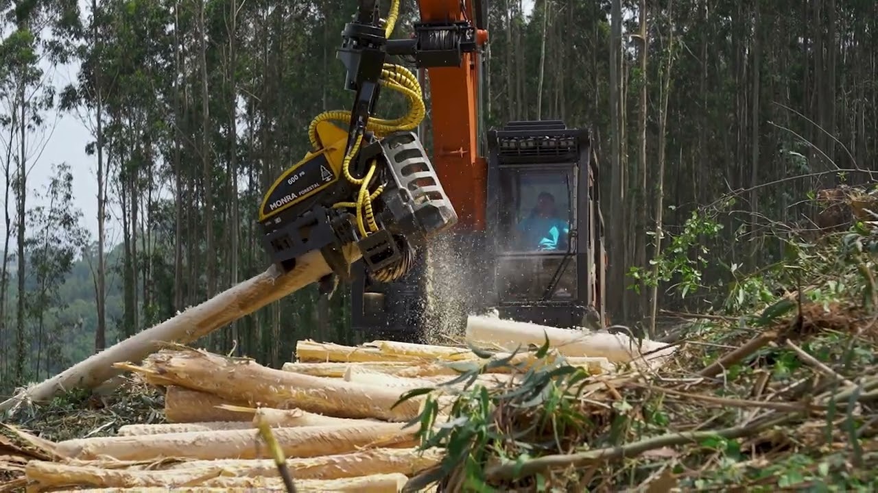 Monra Forestal 600 PB | Procesadora forestal en acción 4K