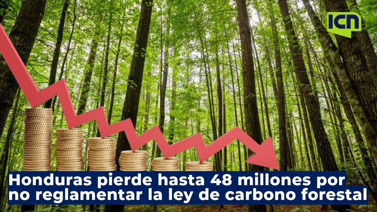 Honduras pierde millones de dólares por falta de reglamento de venta de bonos de carbón