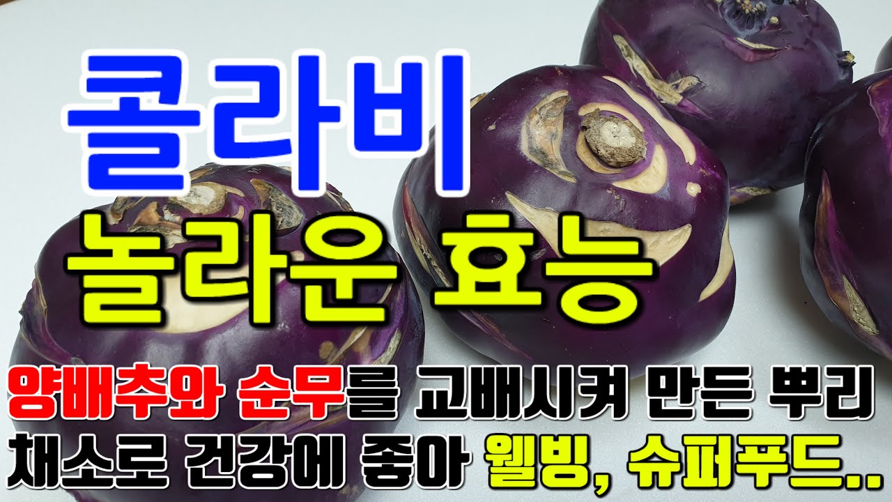 콜라비의 놀라운 효능 8가지 & 부작용 / 