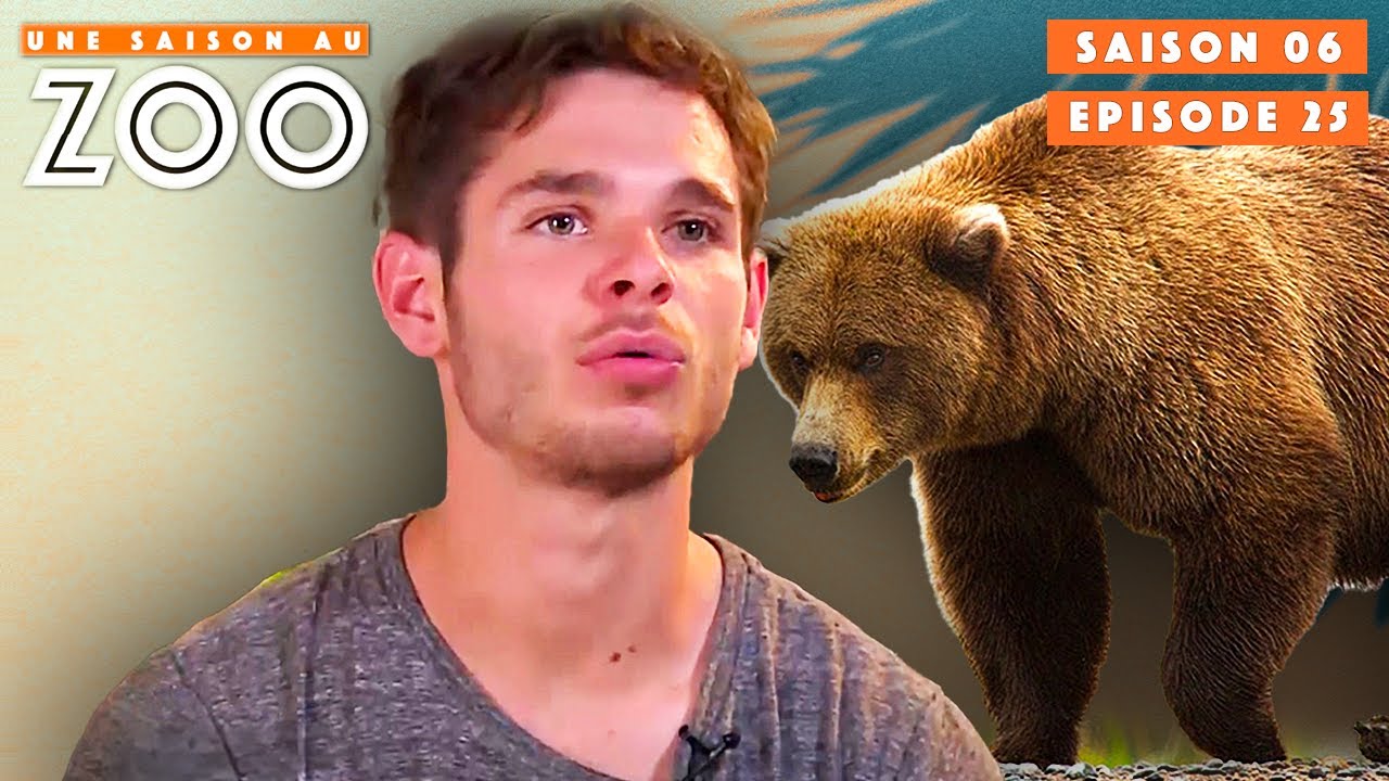Les Ours Bruns ont la Diarrhée ! | S06EP25 | Intégrale | Une saison au zoo