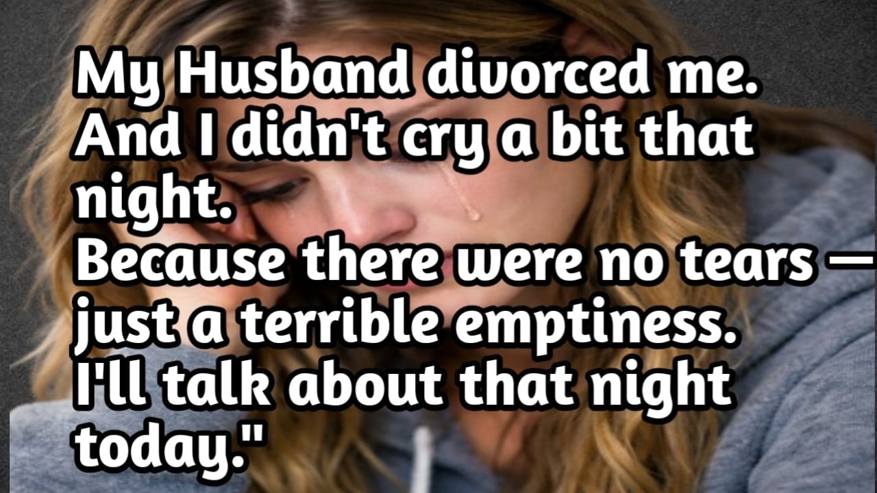 She Asked For Divorce & I Had No Words Left