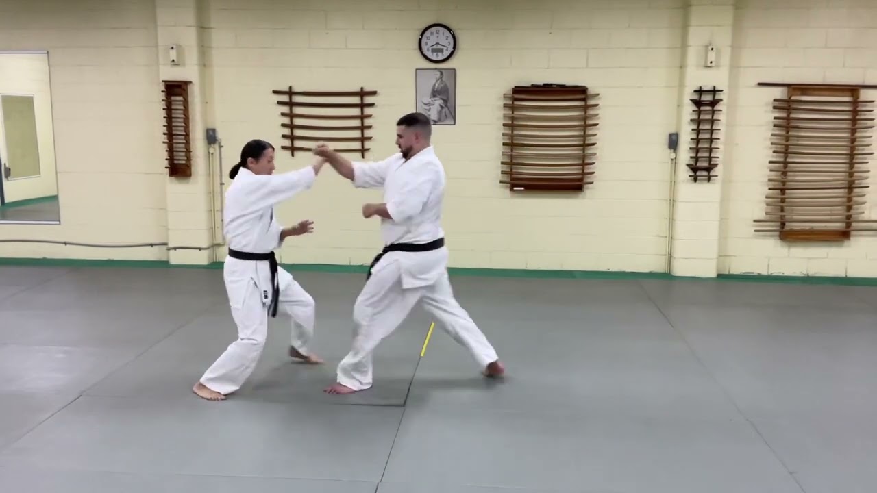 Goshu-ryu Aiki Jujutsu AUS 5th Kyu Grading 森道治師範主催 豪州流合気柔術 五級審査科目
