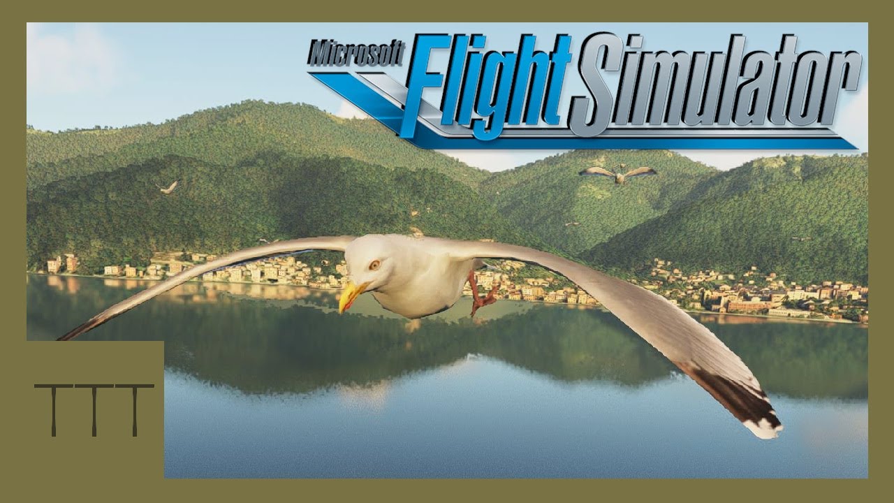 Наблюдение за птицами! Microsoft Flight Simulator!