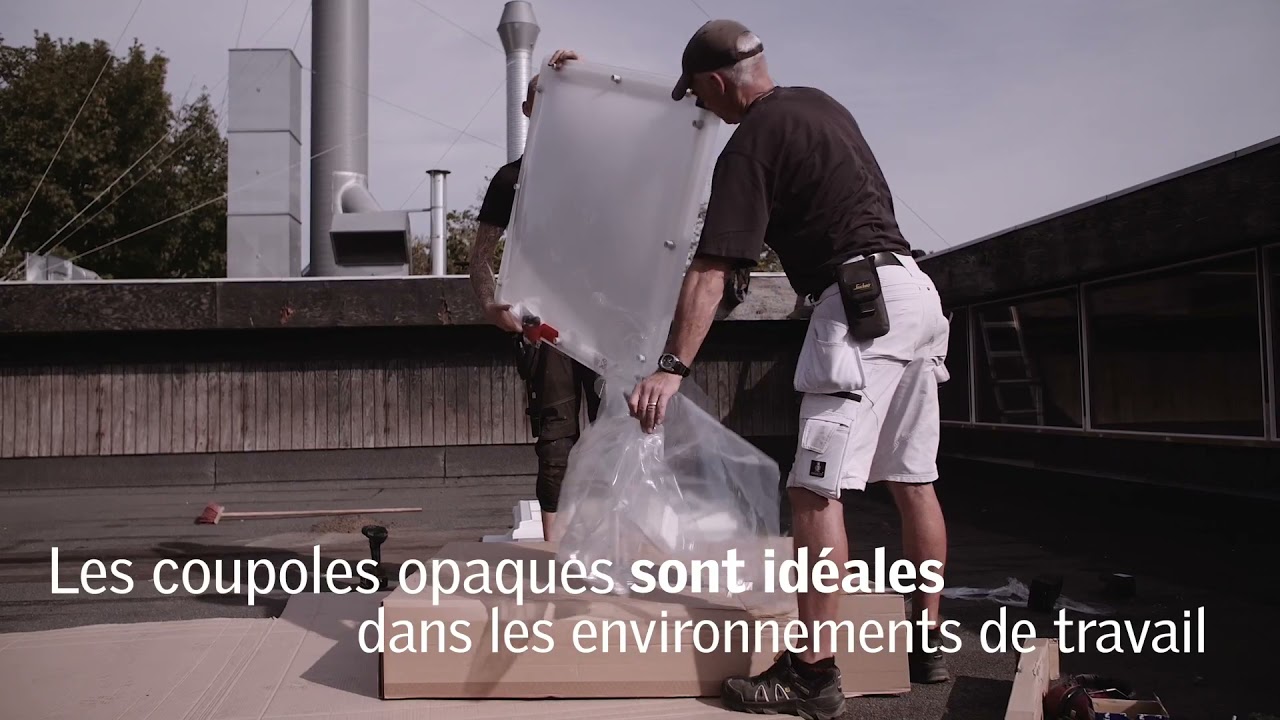 Installation de coupoles VELUX dans un atelier de réparation automobile