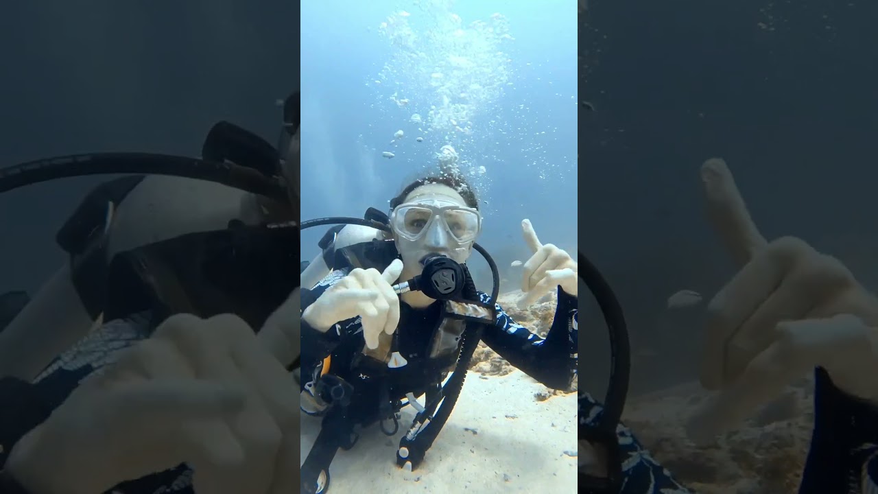 Volunteer in marine conservation - Scuba Diving 🪸🤿  #volunteering #oceanlife