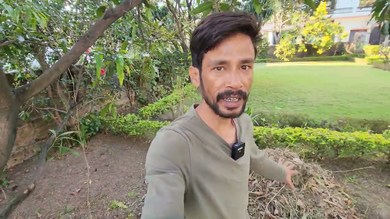 कुछ ऐसा है हमारा Garden || MSB MotoVlogs Garden tour