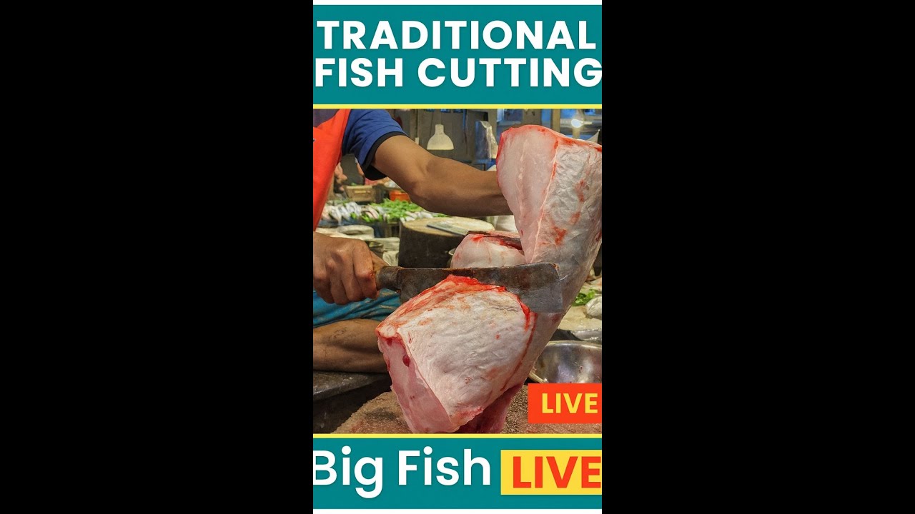 LIVE Fish Cutting Show! 🔪 Master Expert Knife Skills NOW | Real-Time Market ASMR