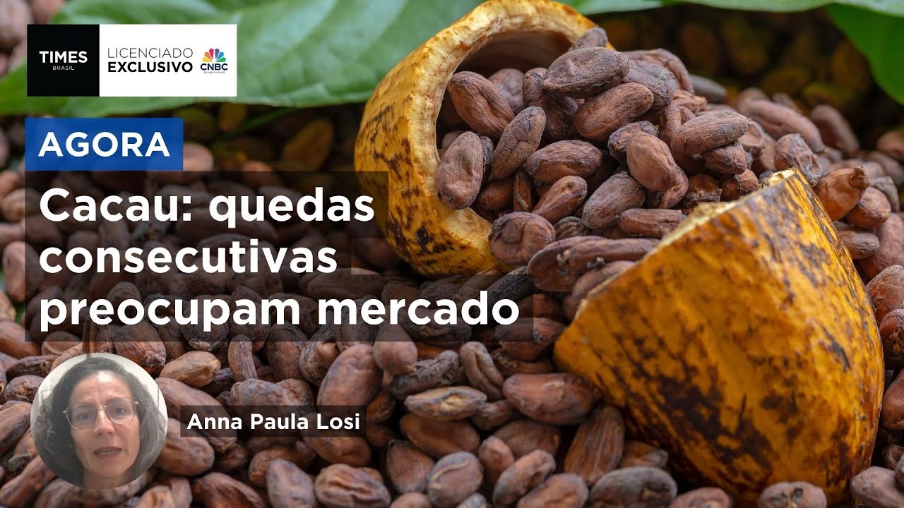 Preço do cacau cai, mas mercado segue instável; presidente da AIPC explica