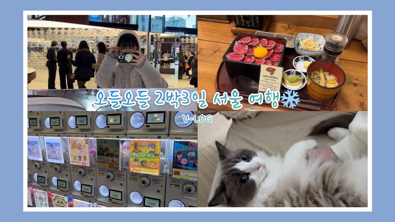 브이로그 | 오들오들 2박3일 서울 여행❄️ | 혼자서도 잘놀아요!