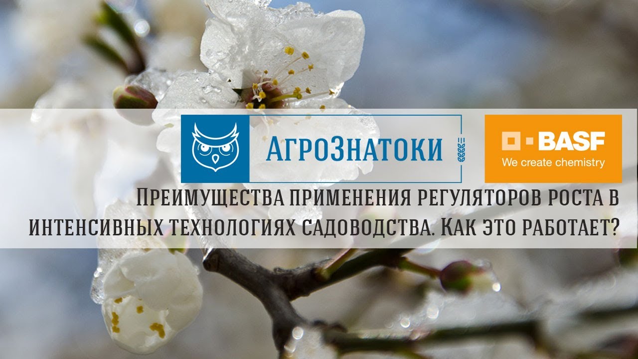 Когда оправдано использование спиртовых растворов