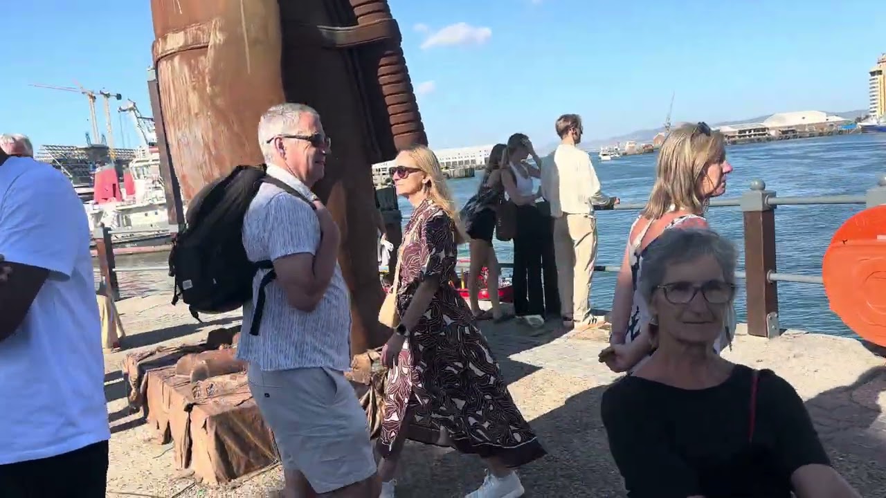 Move ing bridge in capetown 