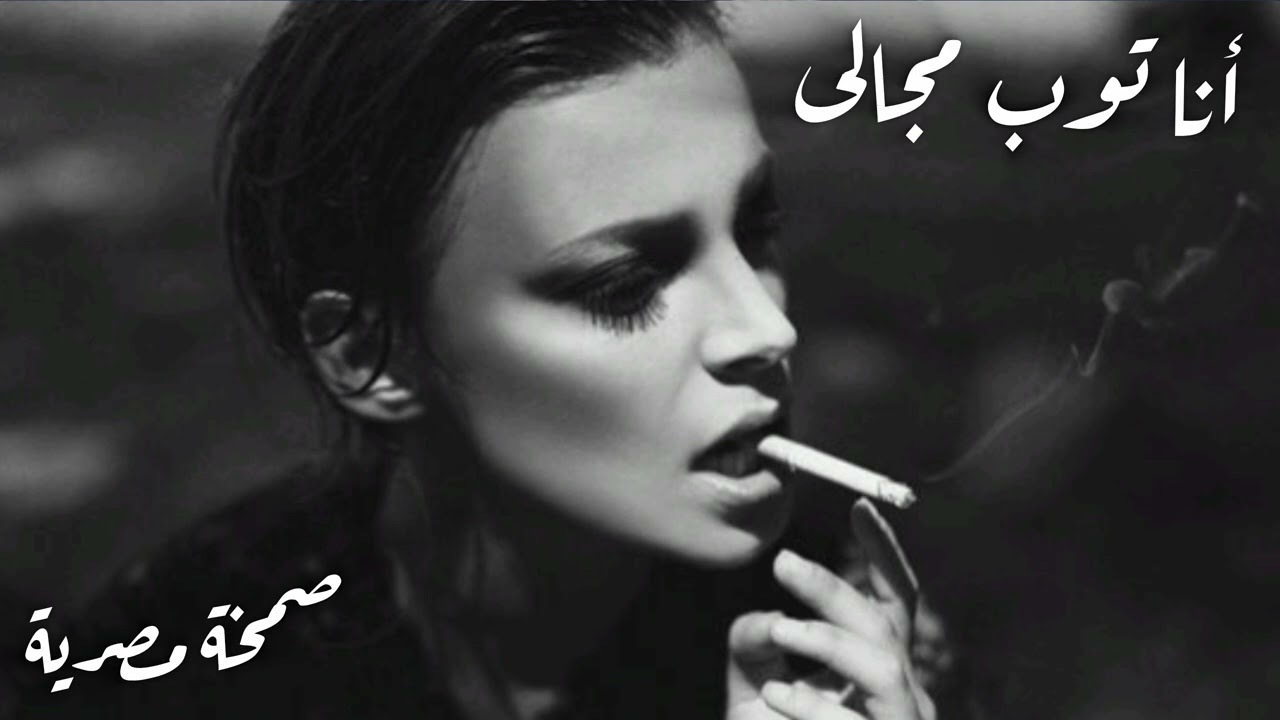 صمخة اغاني مصرية | أنا توب مجالي - استكانه طربية هجوله - مطلوب أكثر شيء - ترند تيك توك 2026 #music