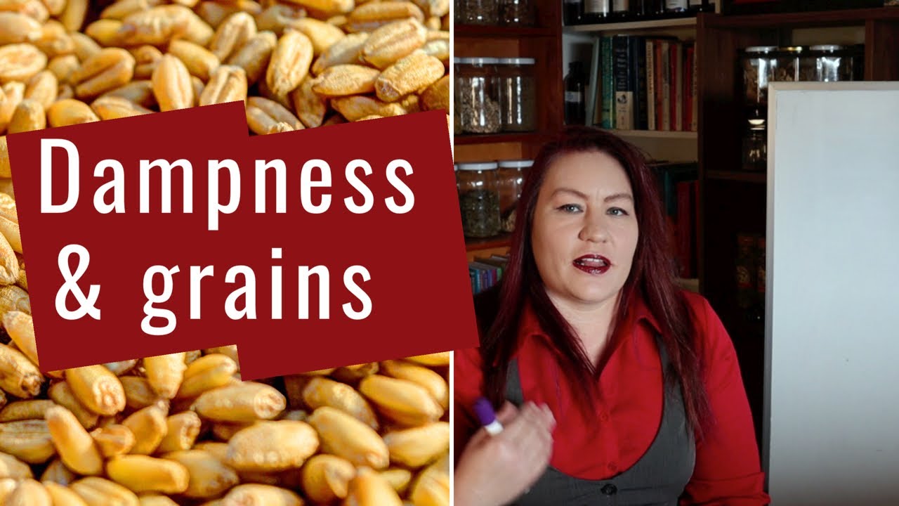 I have dampness, should I give up grains? - Chinese Medicine Diet Therapy