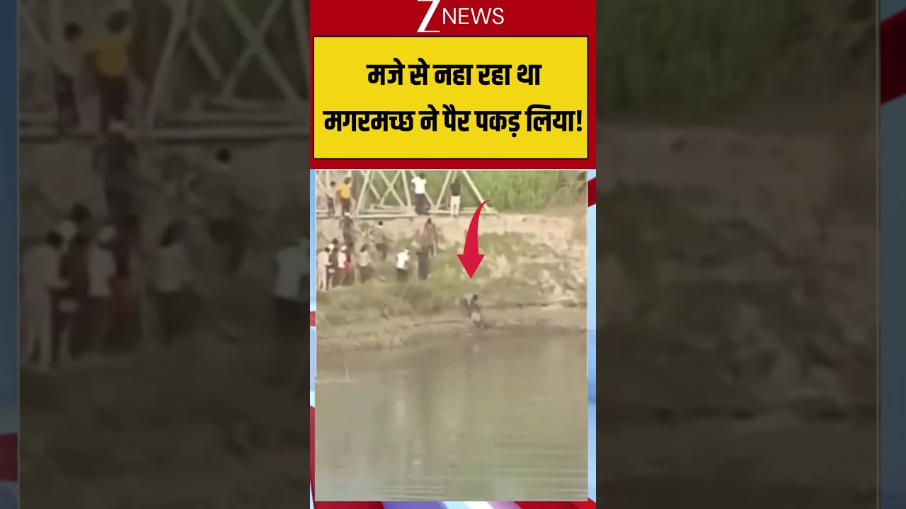 Gonda News: A crocodile grabbed his leg while he was enjoying a bath! #breakingnews #viralnews #viralvideo #zee