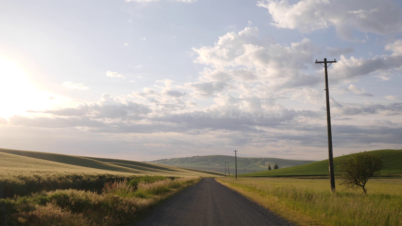Country Road Driving Free Stock Footage