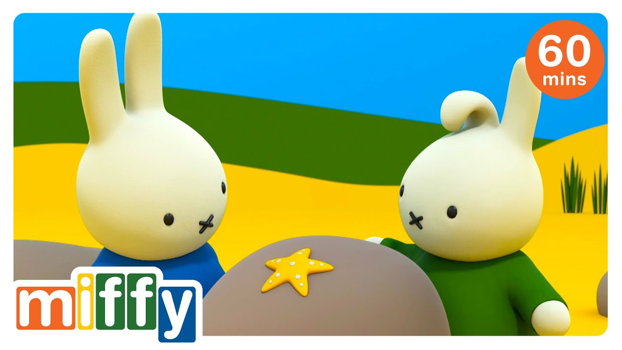Miffy and the Star | Miffy | Cartoons for kids