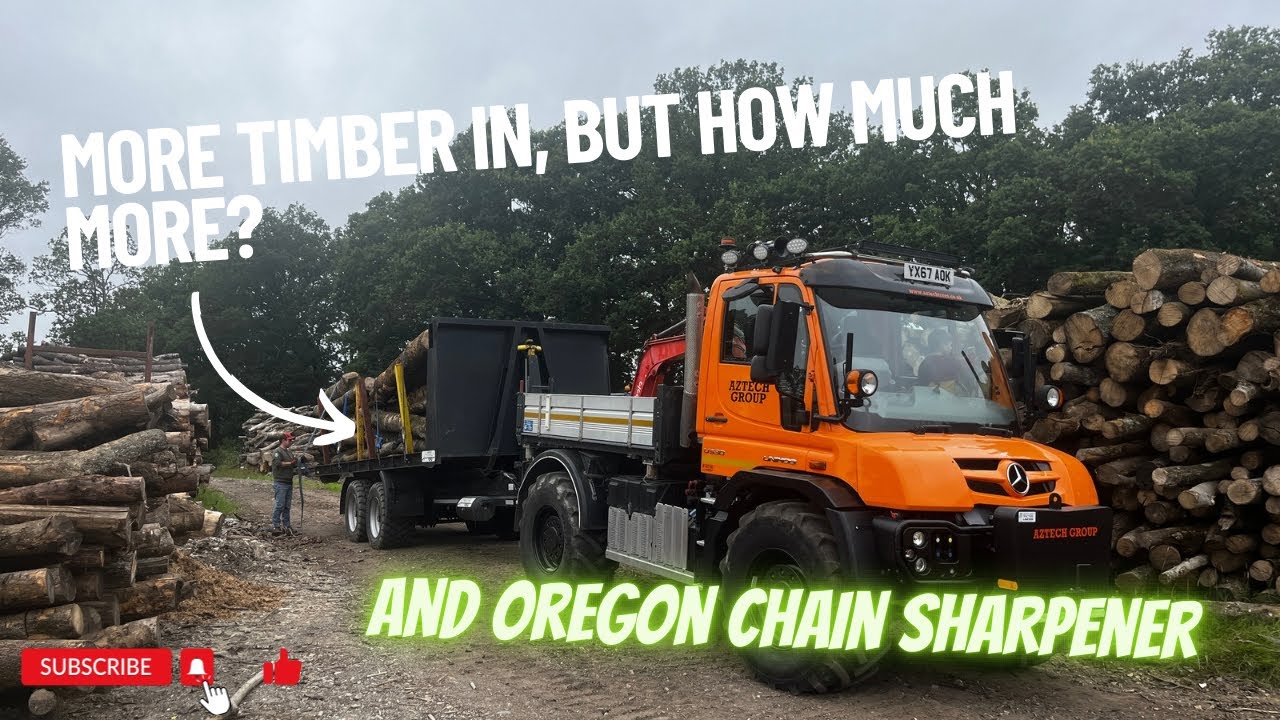 Day 116 - We are back with more timber!