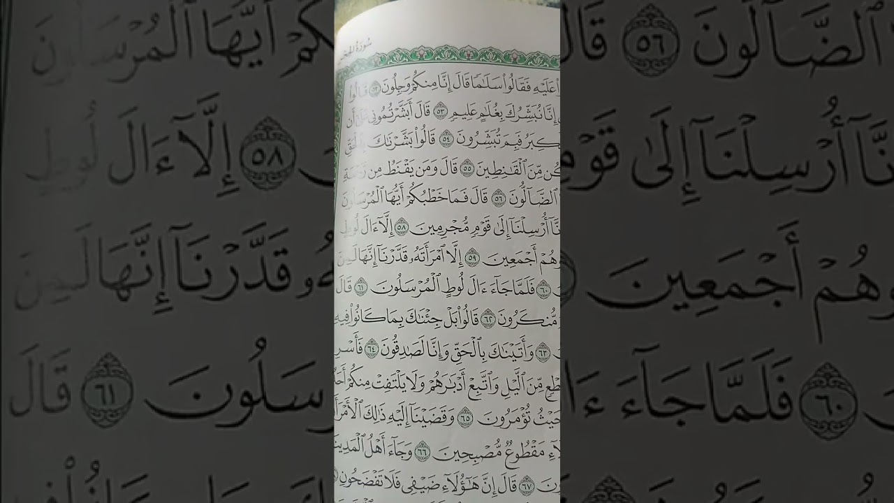 31 January 2026