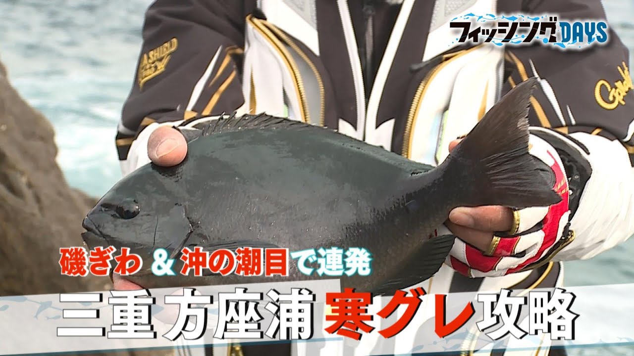 フィッシングDAYS「磯ぎわ＆沖の潮目で連発 三重方座浦寒グレ攻略」