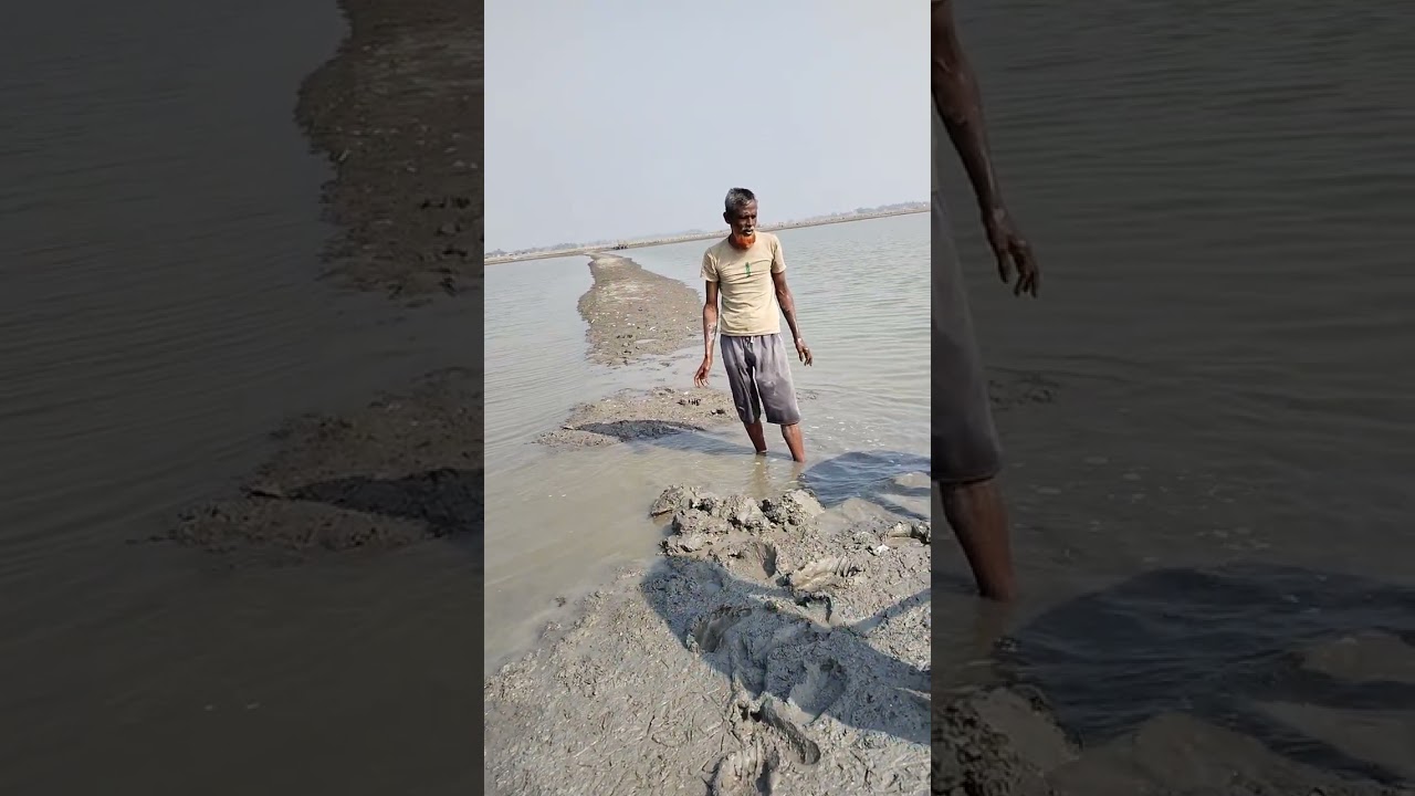 ৪০০ বিঘা ঘেরের ৫০ বিঘা খন্ড টা শুকানো হবে  #Bagdachingri#Lobstar_Fish #Youtubelifestyele #Tanvir