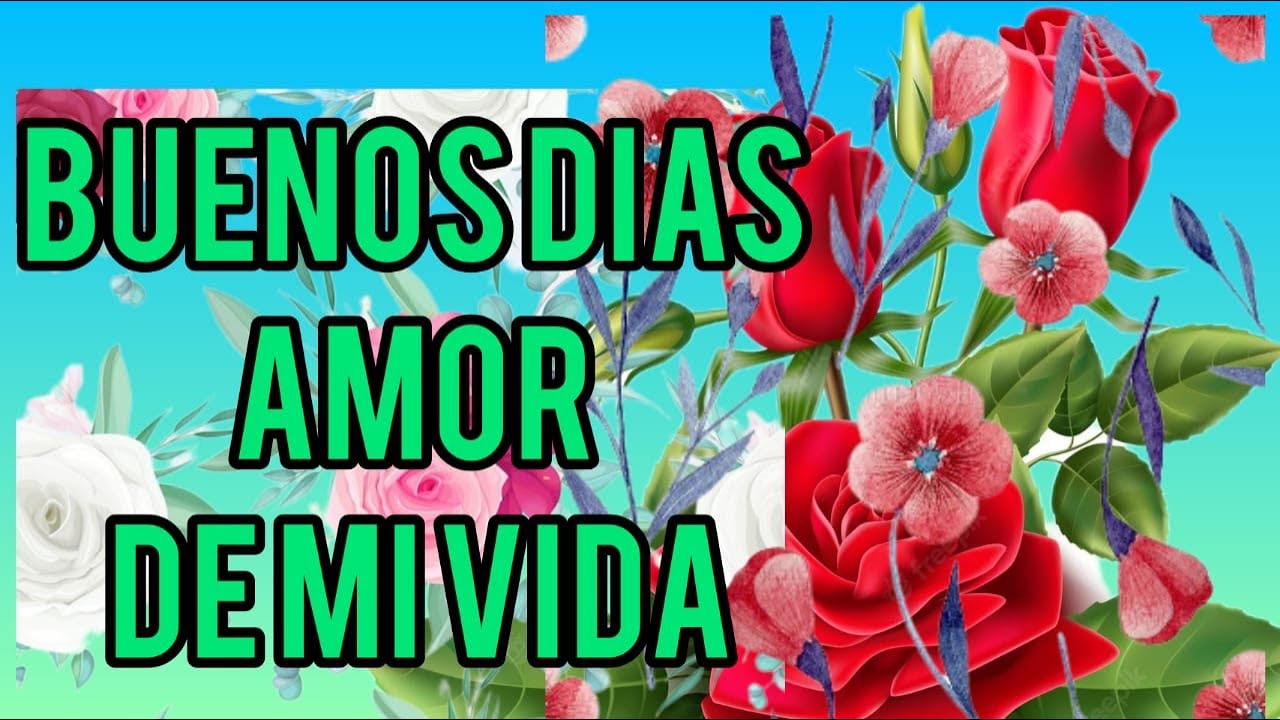 Mi vida mira mi amor yo quiero estar contigo TE EXTRAÑO, estoy sufriendo mucho mi amor