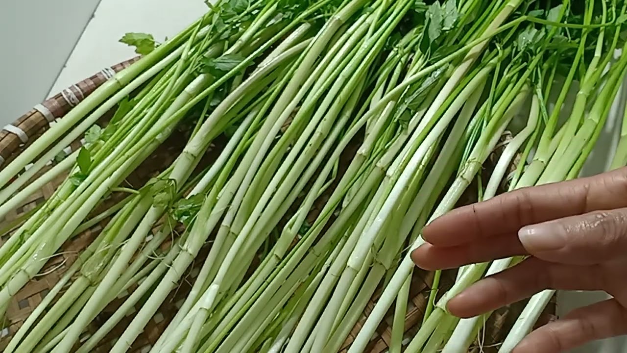 CÁC BÀI THUỐC CHỮA BỆNH BẰNG RAU CẦN NƯỚC_CẦN TA TẠI NHÀ.
