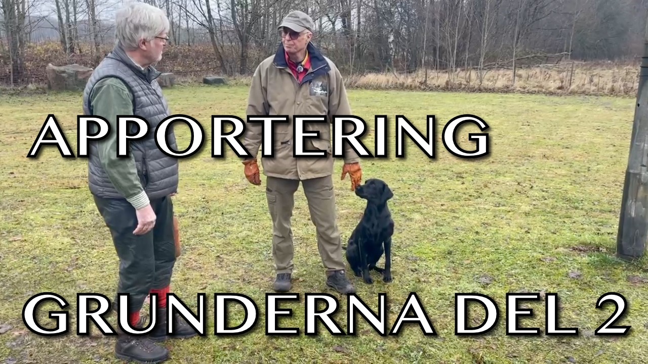 Apportering - Grunderna tillsammans med Jeppe - Del 2