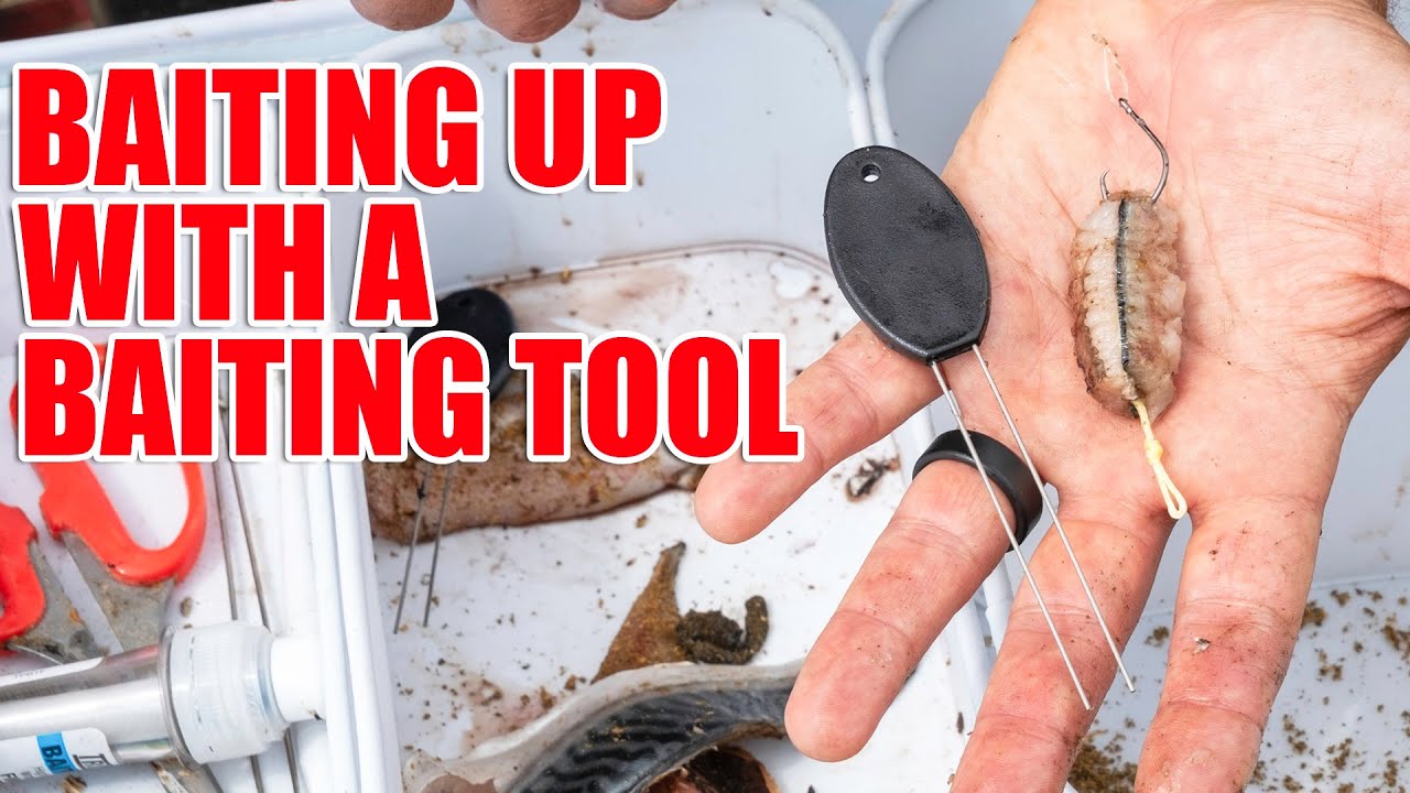 Baiting Up With Twin Spike Baiting Tool