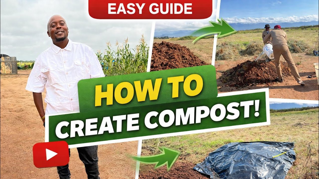 How To Make Compost| Easy Guide For Beginners 