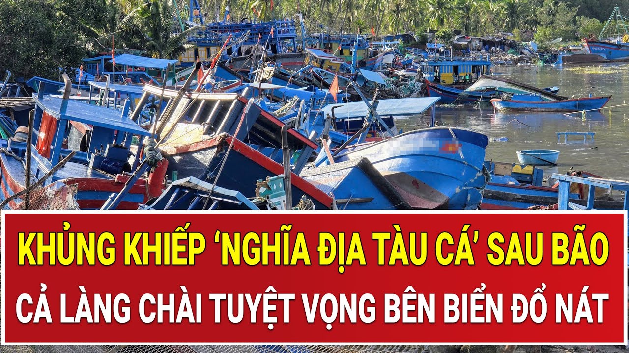Khủng khiếp cảnh ‘nghĩa địa tàu cá’ sau bão số 13: Cả làng chài thẫn thờ tuyệt vọng bên biển đổ nát