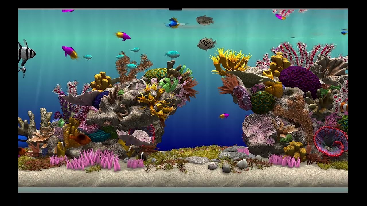 AQUARIUM / FISHTANK IDEAS - ultimate virtual fishtank