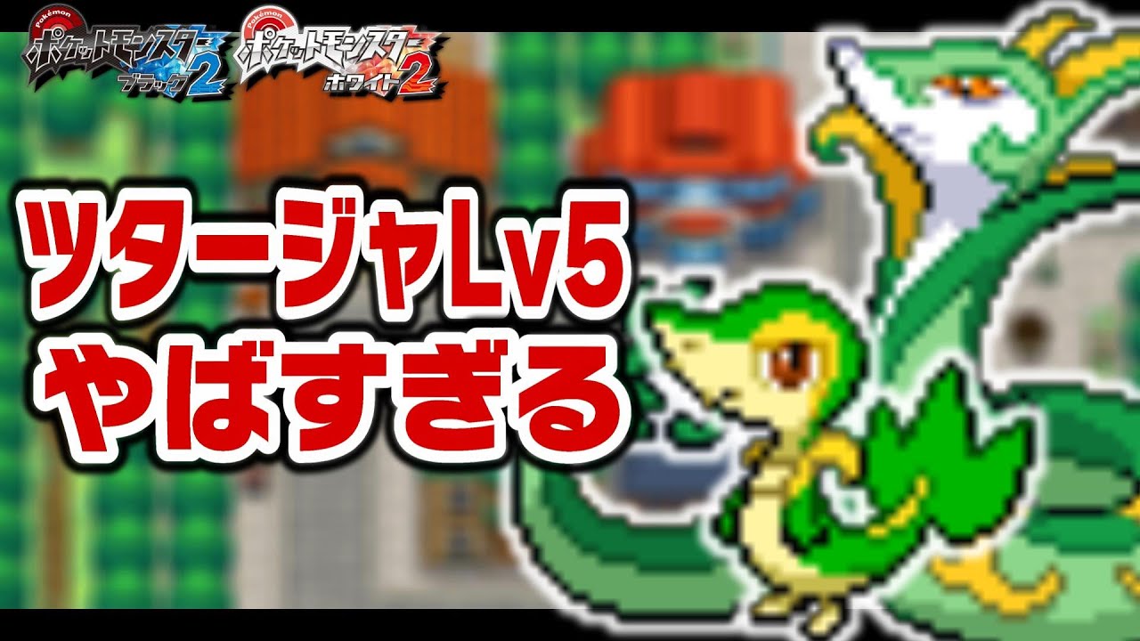 ツタージャLv5が最初のポケモンだったら1匹で殿堂入りできるのか？【ブラックホワイト２/ジャローダ/ジャノビー】